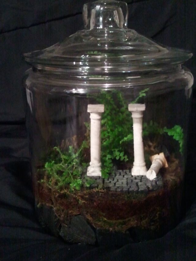 freshly planted half gallon jar